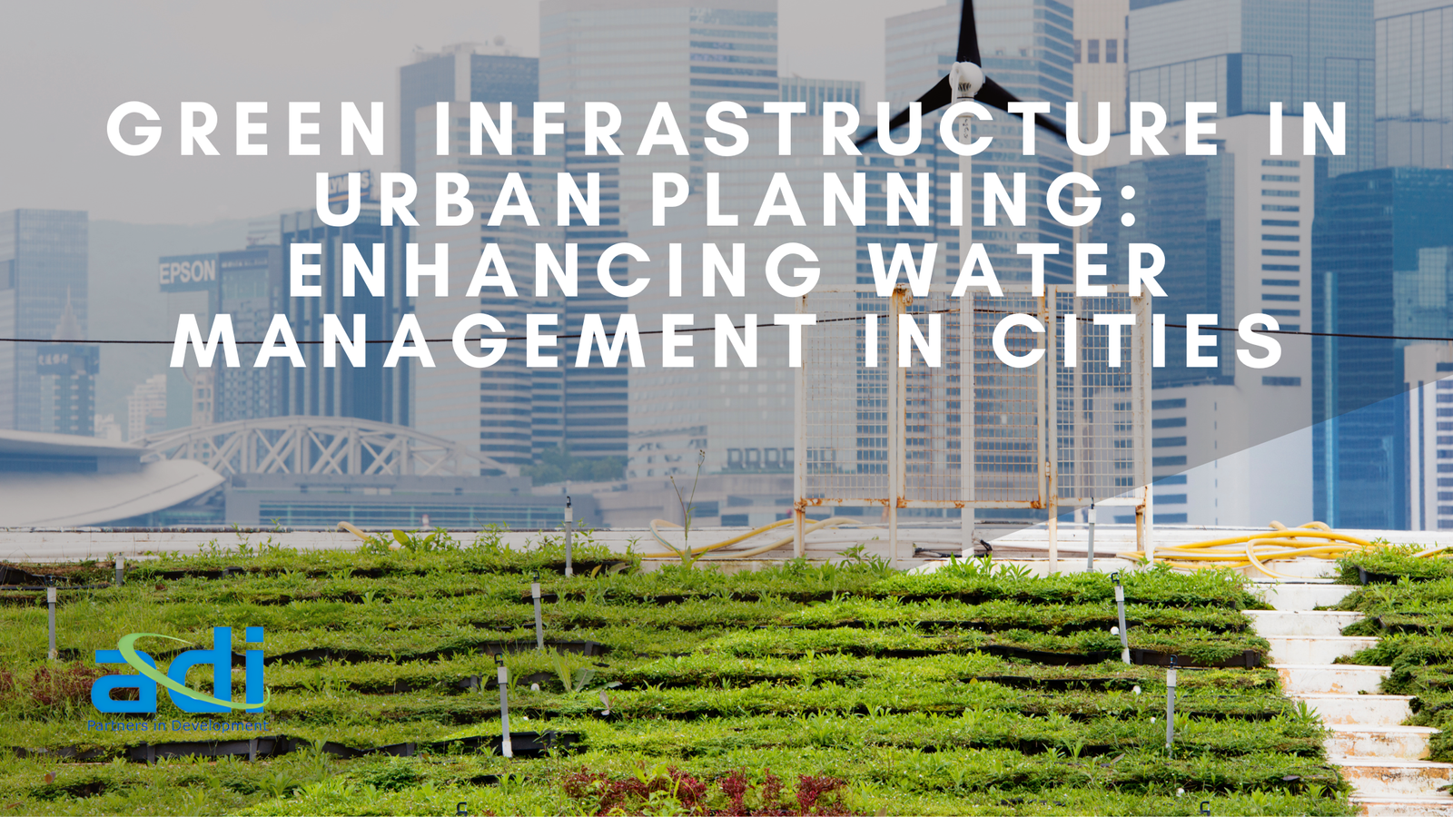 Green Infrastructure in Urban Planning: Enhancing Water Management in Cities